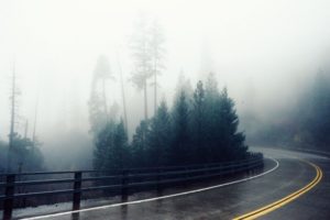hazy-road-across-forest_442-19321403